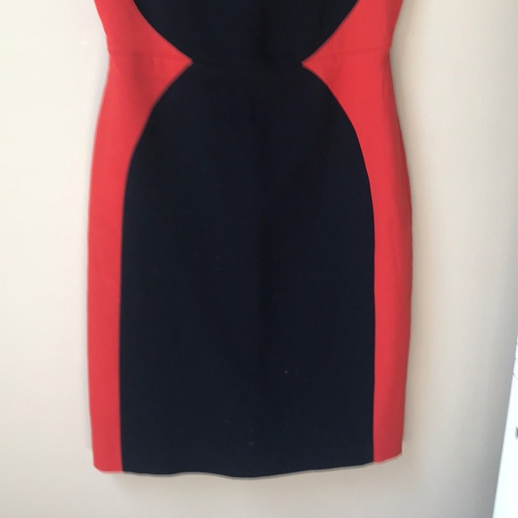 MOVING SALE!!! LIMITED colorblock sheath dress - Picture 3 of 4